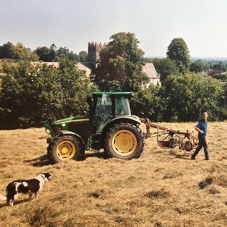 Carey'S Bar & Farmhouse Kilkenny Border Oldleighlin Luaran gambar
