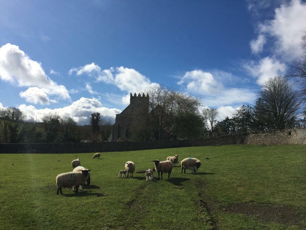Carey'S Bar & Farmhouse Kilkenny Border Oldleighlin Luaran gambar